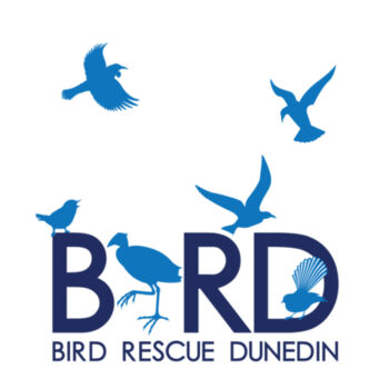 Bird Rescue Dunedin - Cushion cover Design