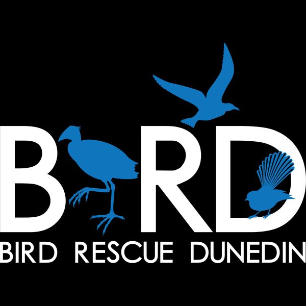 Bird Rescue Dunedin Thumbnail