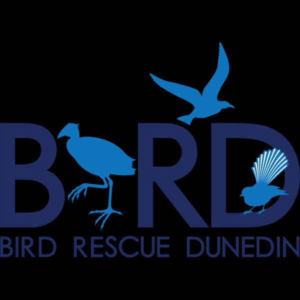 Bird Rescue Dunedin Thumbnail